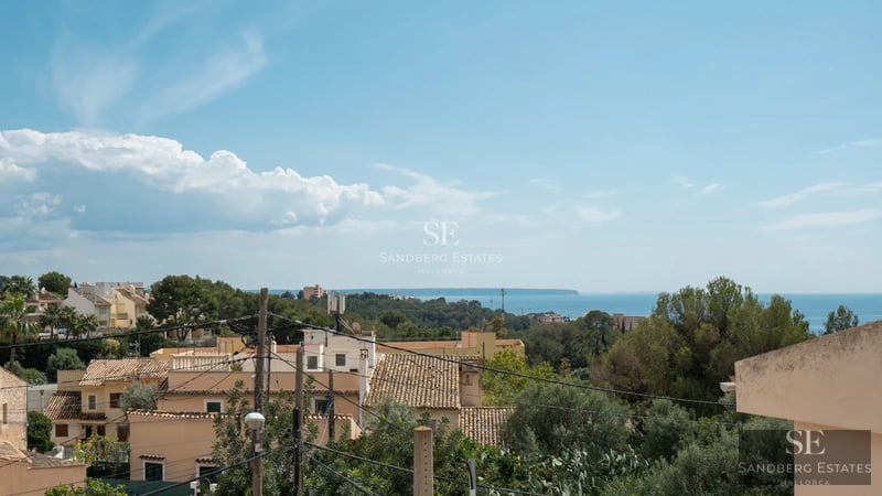 Large swimming pool surrounded by lush greenery and lounge chairs. Modern architecture with large windows and minimalist facade.