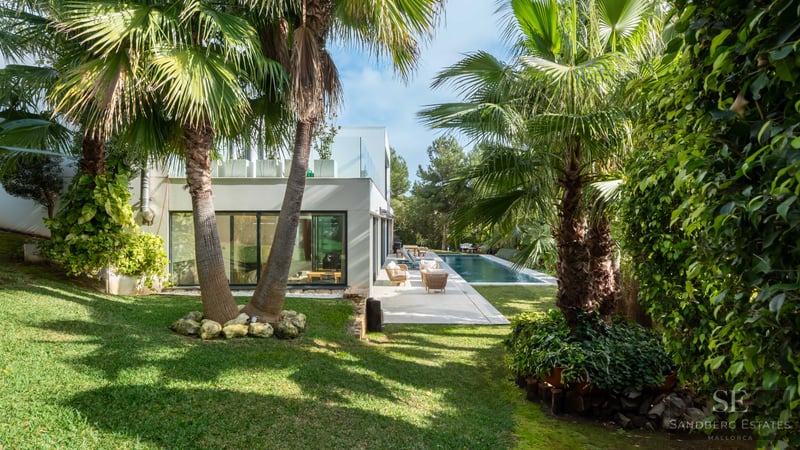 Grönskande trädgård med palmer som leder till en modern vit villa och en lång pool under en blå himmel.