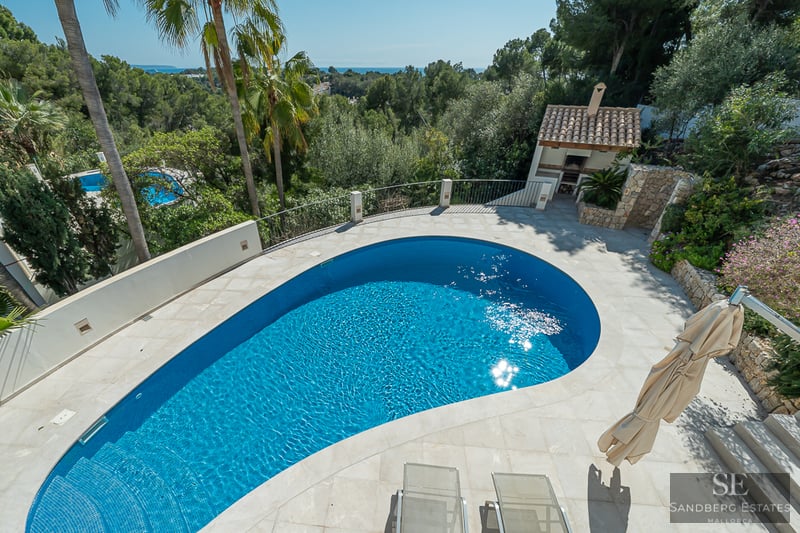 Piscine bleue incurvée sur une terrasse en pierre entourée de palmiers et de verdure avec vue sur la mer au loin.