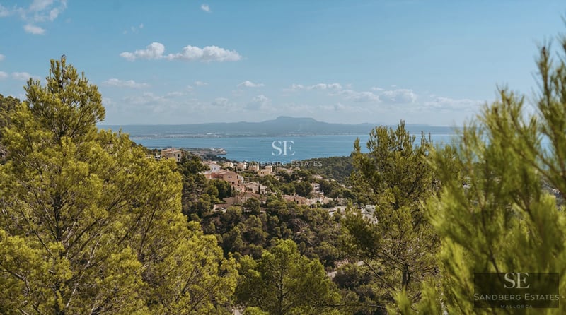 Spacious, bright living room with white sofas, textured rug, coffee table, and large windows overlooking the garden. Modern and elegant design.
