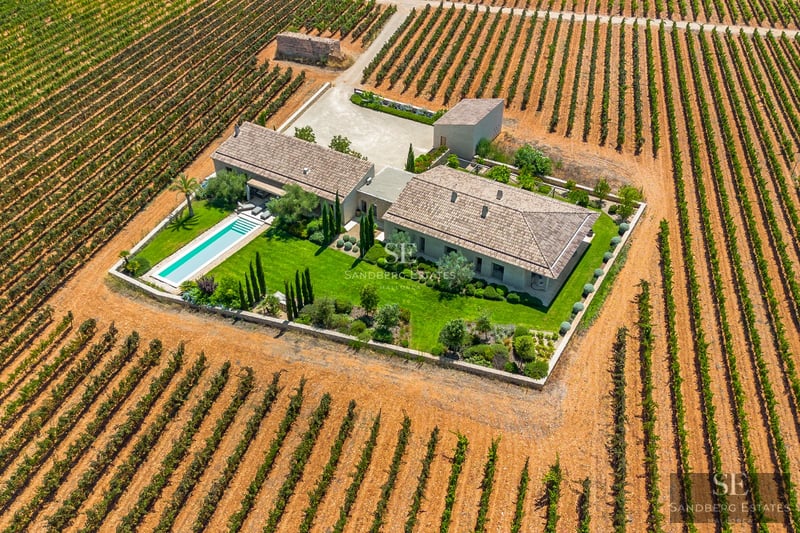 Exterior view of a modern house with pool, terraces, large glass windows and lush vegetation. Minimalist architecture.