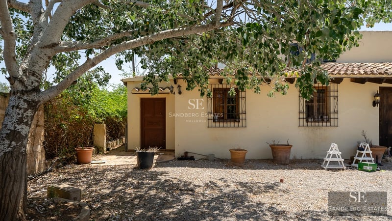 Exterior view of a modern villa with an infinity pool. Large windows, minimalist design and lush surrounding vegetation.