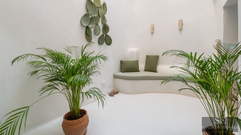 Minimalist white room featuring a curved built-in bench, green cushions, potted palms, and a wall-mounted cactus.