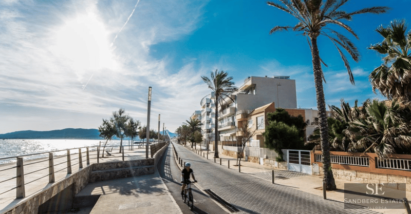 Sonnige Küstenpromenade mit Radweg, Palmen und modernen Gebäuden am Meer unter blauem Himmel.