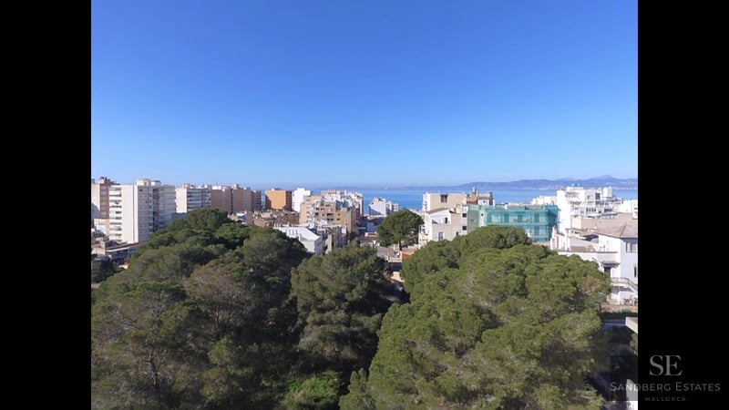 High-angle view over lush green treetops towards white urban buildings and the blue sea under a clear sky.