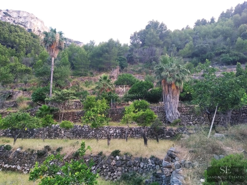 Exterior of modern villa featuring infinity pool, sun loungers, manicured garden, and minimalist architecture. Large glass windows reflect surroundings.