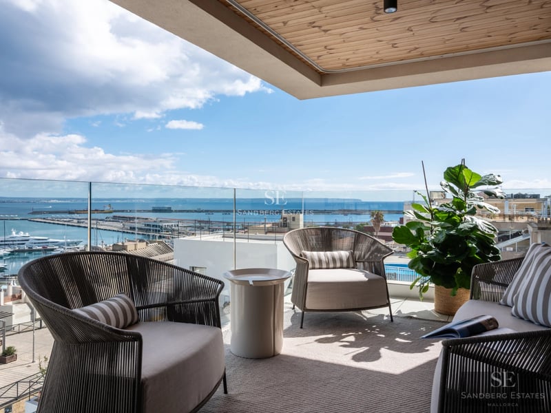 View of a luxurious house with a swimming pool, lush garden, and modern architecture. Perfect for entertainment and relaxation.