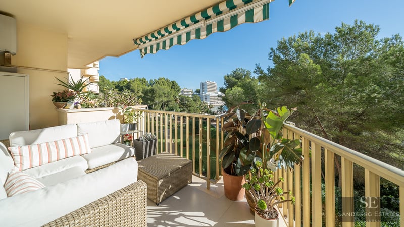 Terrasse avec canapés en osier blanc, plantes vertes et store rayé donnant sur des arbres.