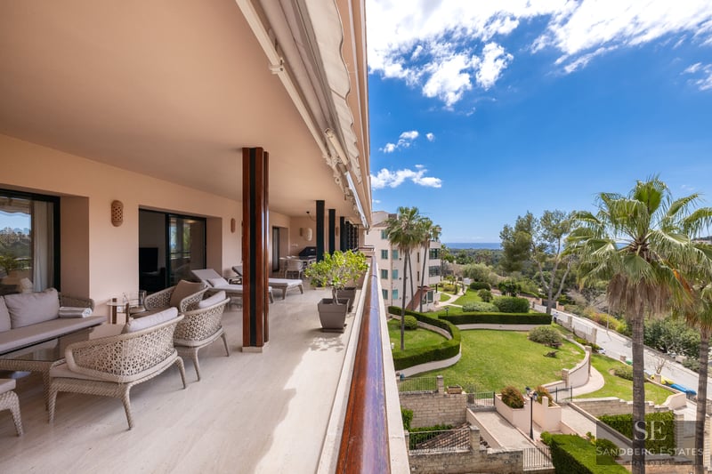 Grande terrasse couverte avec mobilier en osier surplombant un jardin avec palmiers et la mer sous un ciel bleu.