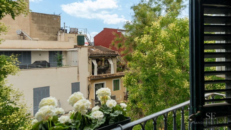 Blick von einem Balkon mit Metallgeländer und weißen Blumen auf mediterrane Gebäude und grüne Bäume.