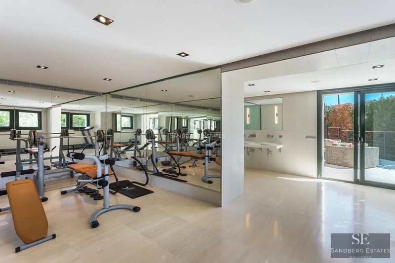 Spacious living room with floor-to-ceiling windows, light wood floors, modern fireplace, and minimalist design. Abundant natural light.