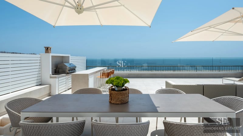 Bright living room with fireplace, leather sofas, windows and garden view. Modern design with elegant details and abundant natural light.