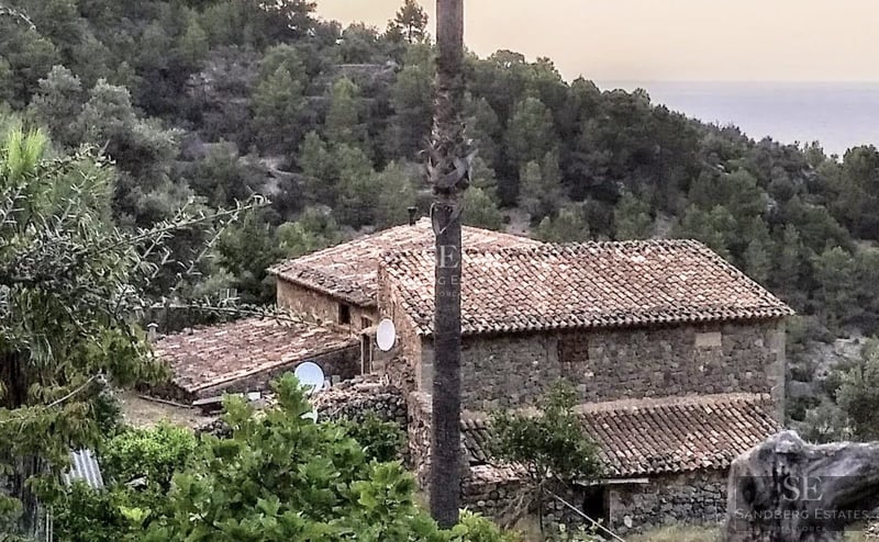 Spacious pool surrounded by a wooden deck with sun loungers and umbrellas. Lush vegetation in the background. Modern and minimalist facade.