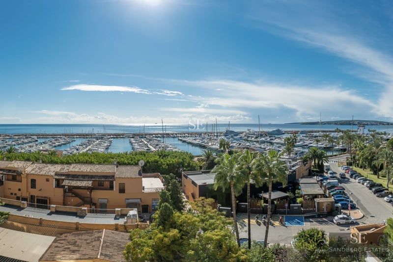 Vista exterior de una casa moderna con piscina infinita, ventanales amplios y un diseño paisajístico minimalista con palmeras.