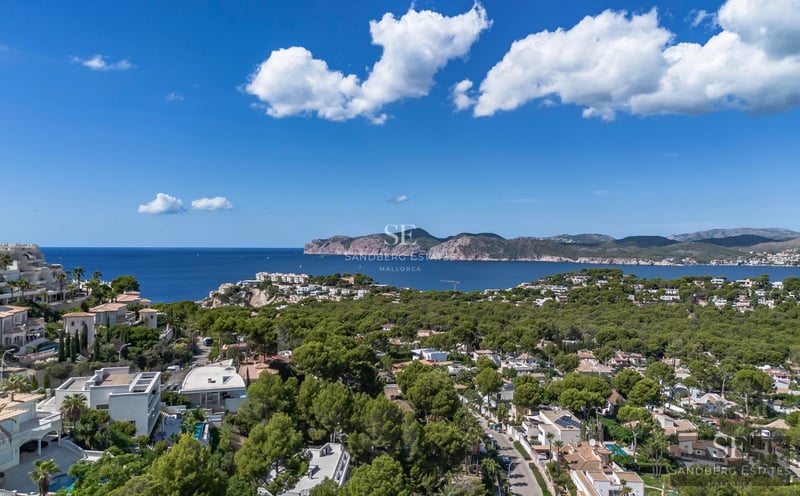 Exterior view of a modern house featuring a pool, garden, and large windows. Minimalist and elegant design.