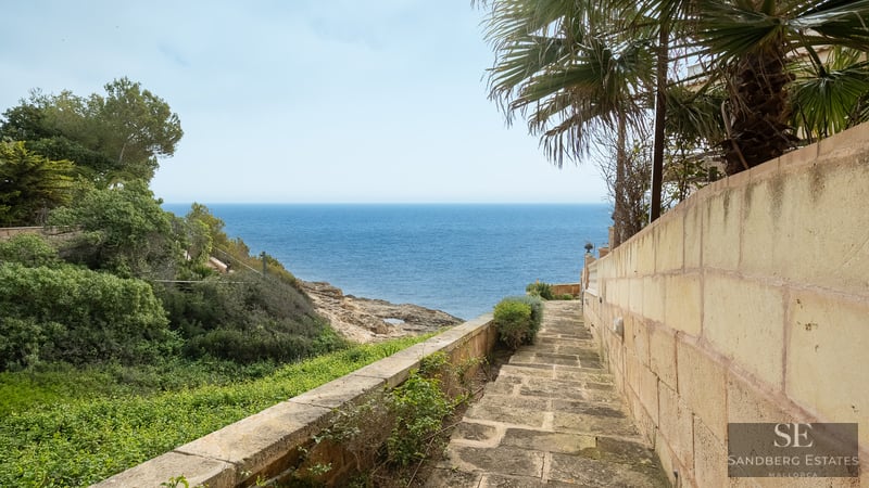 A stone pathway between a wall and greenery leads directly towards a vast, blue ocean.