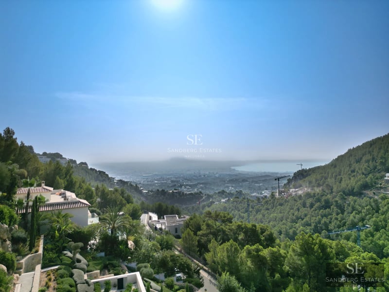 Exterior view of a luxurious modern house with an infinity pool, large windows, and lush landscaping.