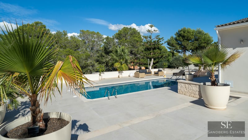Piscine rectangulaire à l'eau cristalline, entourée de dalles grises et de palmiers en pots sous un ciel bleu.