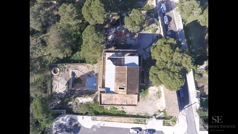 Top-down aerial view of a house with tiled roof, empty swimming pool, and surrounding pine trees.