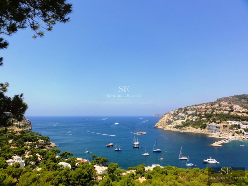 Infinity pool view with sun loungers, modern facade of a luxury villa, lush garden and clear blue sky. Minimalist architecture.