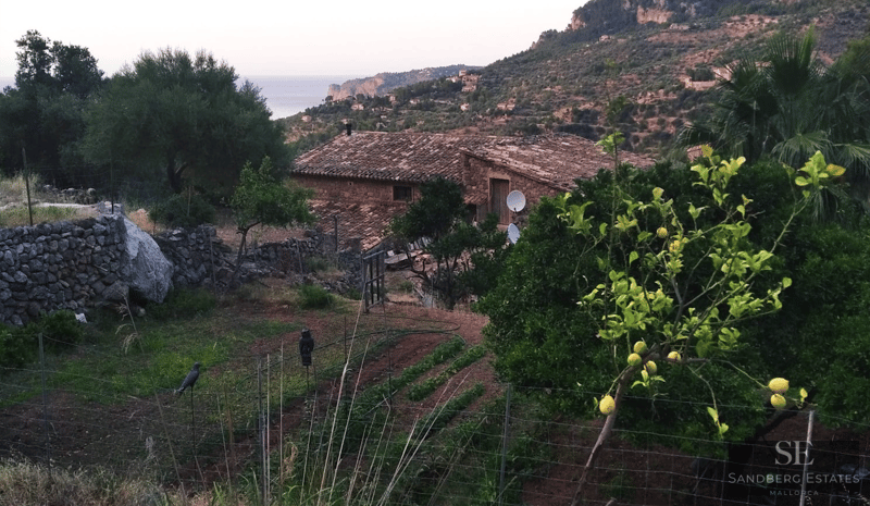 A traditional stone house with a terracotta roof surrounded by a vegetable garden and lemon trees overlooking the sea.
