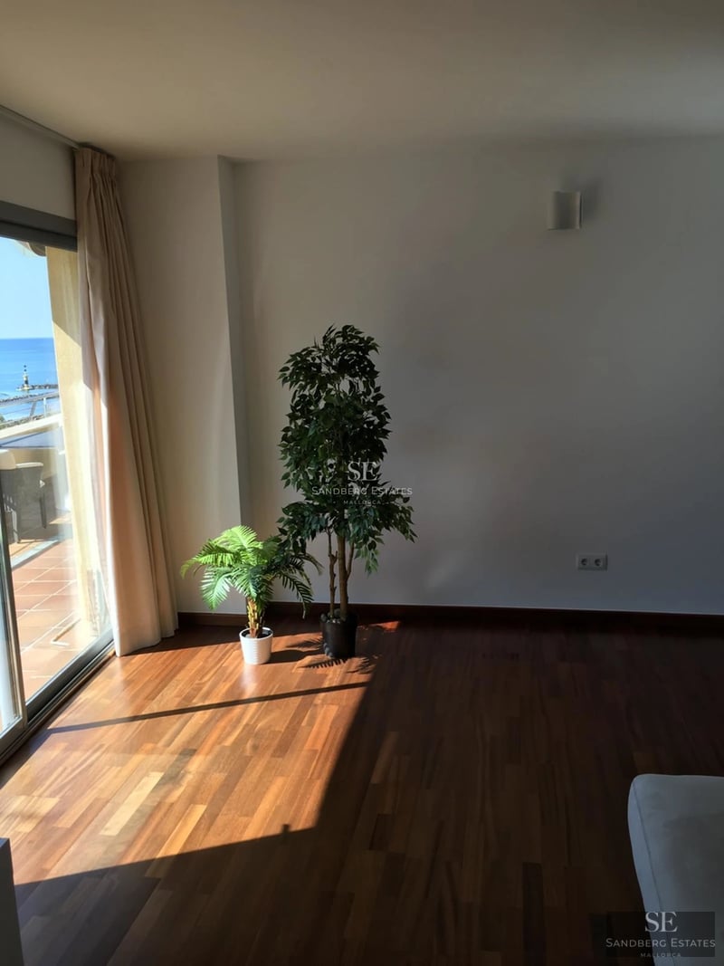 Grand salon avec baies vitrées, parquet clair, cheminée et mobilier moderne. Vues spectaculaires.