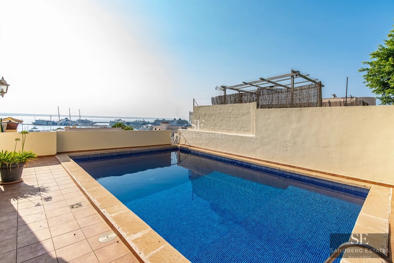 Expansive terrace with infinity pool and panoramic views. Modern design, sun loungers, and lush vegetation.