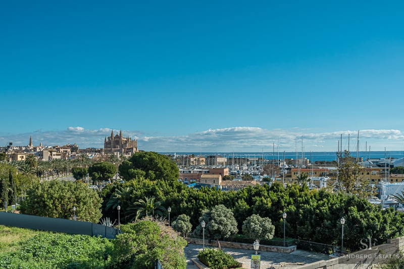 Naturskön utsikt över grönskande träd mot katedralen i Palma och en hamn fylld med segelbåtar under en blå himmel.