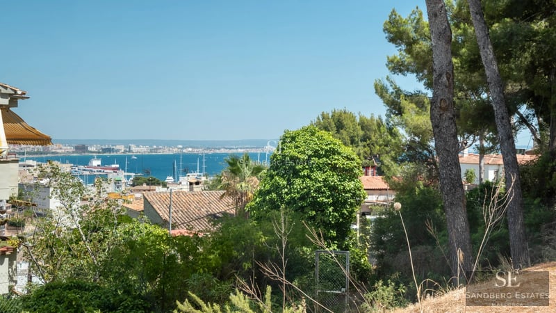 Spacious terrace with infinity pool, sun loungers, and panoramic views. Modern architecture with clean lines and abundant natural light.