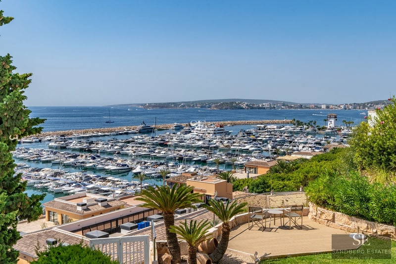 Exterior view of modern home with infinity pool. Minimalist architecture, large windows and lush garden.