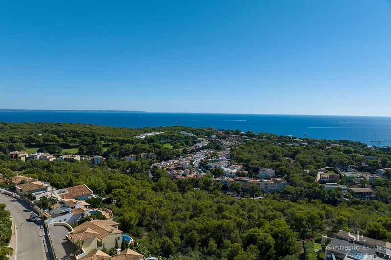 Aerial drone view of a lush green forest meeting a residential coastal town with the deep blue sea on the horizon.
