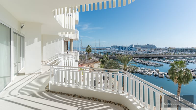 Large modern white terrace overlooking a sunny marina filled with boats and palm trees under a clear blue sky.