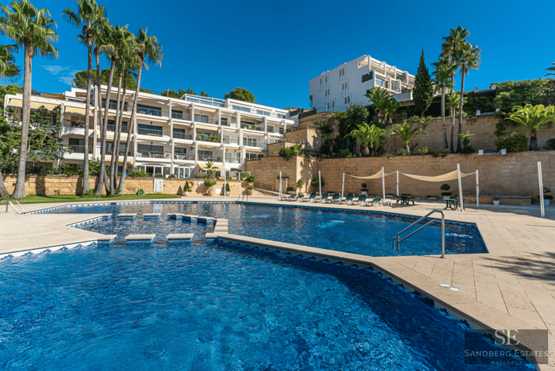 Large blue swimming pool surrounded by a stone deck, palm trees, and a white apartment building under a clear sky.