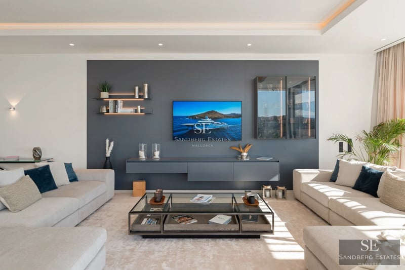 Spacious living room featuring floor-to-ceiling windows, natural light, a modern fireplace, wooden floors and minimalist decor.