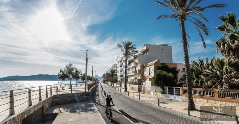 Spacious living room with floor-to-ceiling windows, designer sofas, and access to terrace with views. Modern interior with abundant natural light.