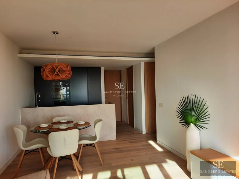 Infinity pool view with built-in jacuzzi. Modern design, clean and minimalist lines. Green lawn, blue sky. Luxurious architecture.