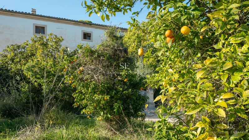 View of a luxurious villa with an infinity pool. Modern design, large windows, spacious terrace, and lush vegetation.