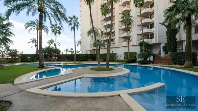Large curved swimming pool surrounded by tall palm trees and a residential building under a clear sky.