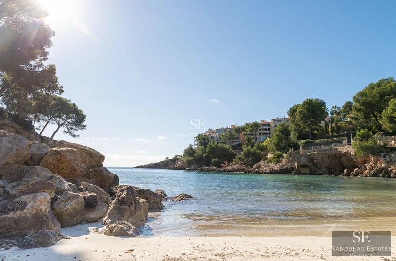 Bright living room featuring large windows, light wood floors, a modular sofa, and stunning views. Modern and elegant design.