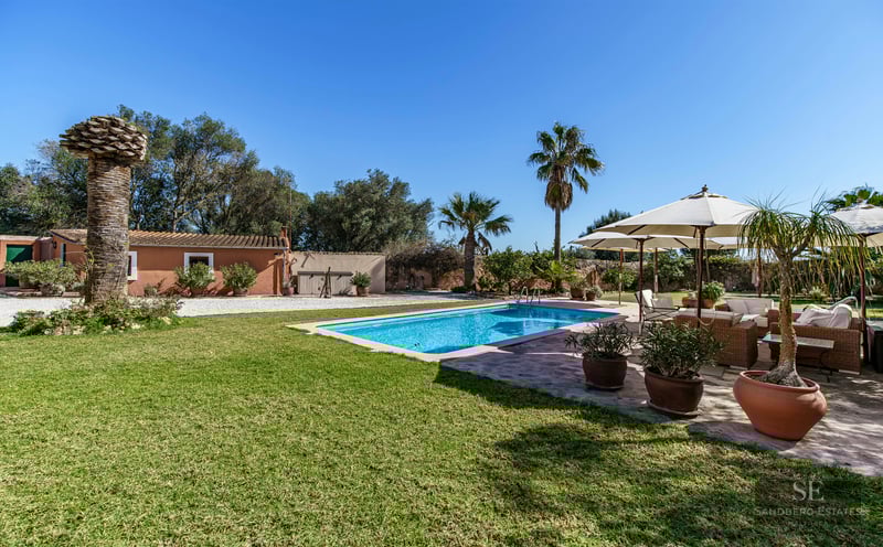 Sun-drenched swimming pool surrounded by a lush green lawn, palm trees, and a lounge area with umbrellas under a blue sky.