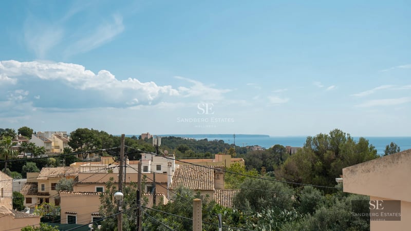 Large swimming pool surrounded by lush greenery and lounge chairs. Modern architecture with large windows and minimalist facade.