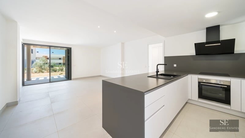 Exterior view of a modern villa with reflecting pool and lush garden. Minimalist architecture, avant-garde design.