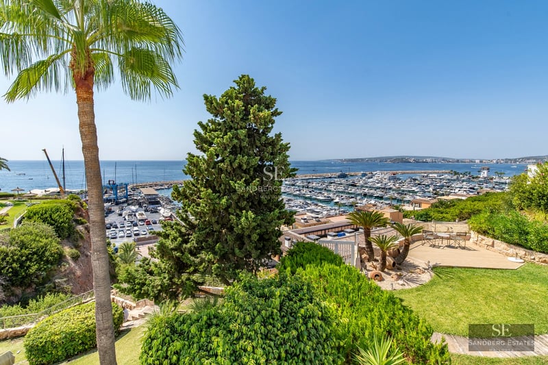 View of an elegant pool surrounded by a lush garden and modern architecture featuring large windows.