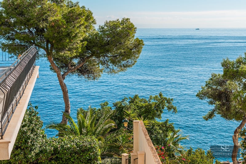 View from a balcony with metal railing overlooking the blue Mediterranean Sea surrounded by pine trees and palms.