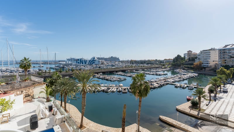 Elevated view of a marina with numerous white yachts, palm trees, and a large ferry under a clear blue sky.