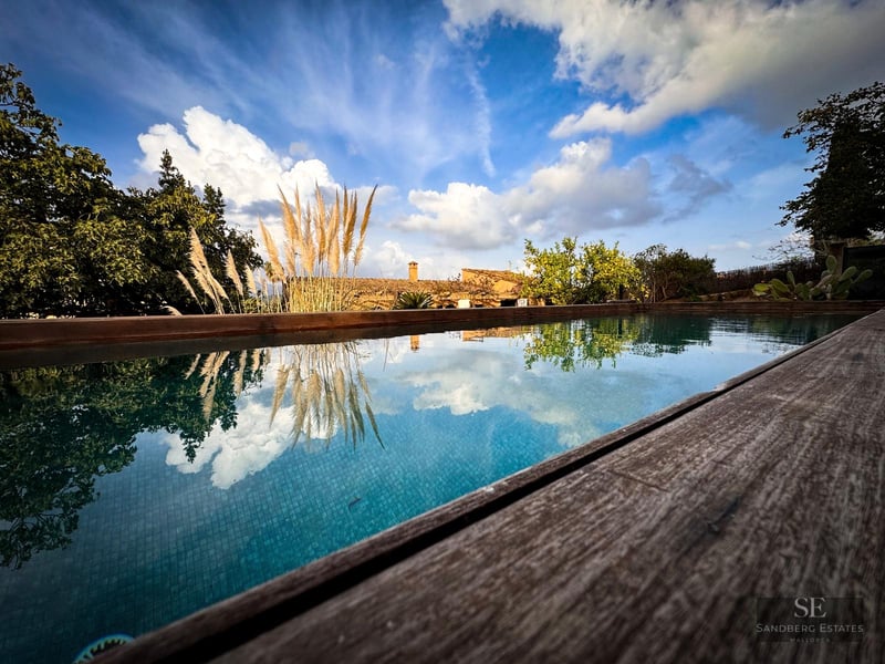 Low-angle view of a swimming pool reflecting a blue cloudy sky, framed by a wooden deck and Mediterranean greenery.