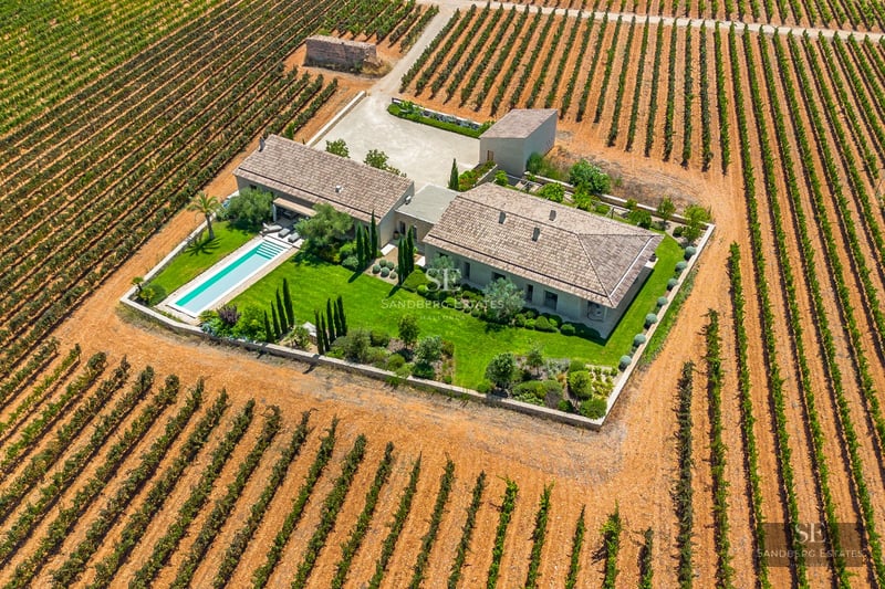 Exterior view of a modern house with pool, terraces, large glass windows and lush vegetation. Minimalist architecture.