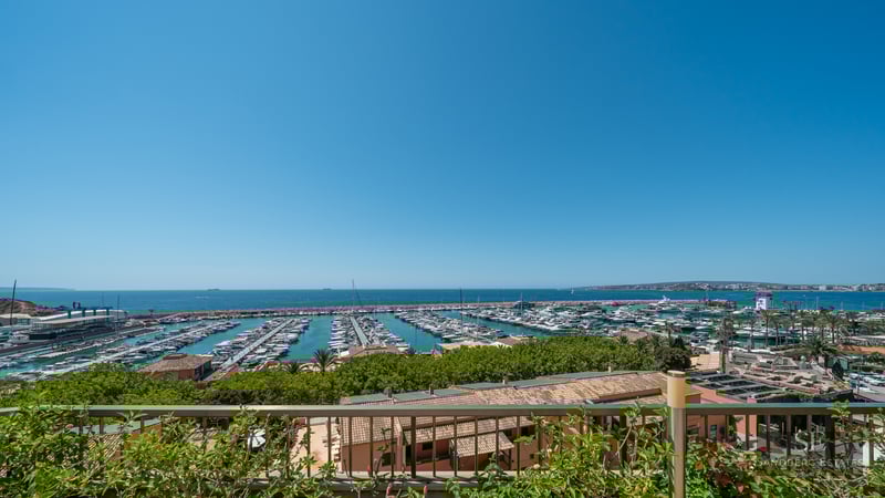 High-angle view of a bustling marina with white yachts under a clear blue sky, seen from a terrace with greenery.