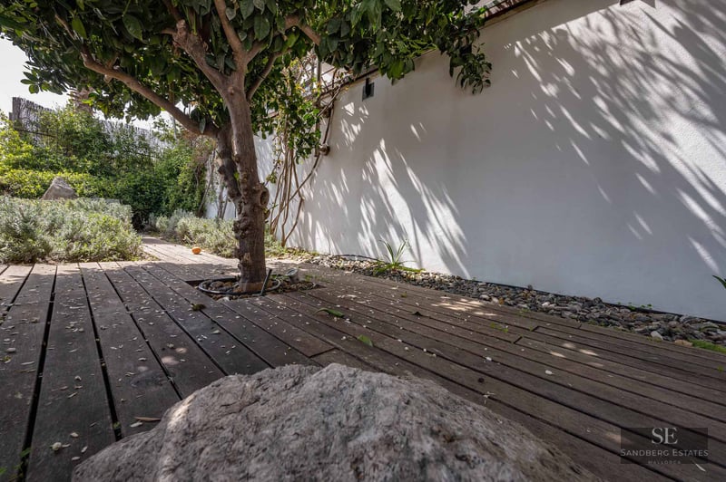 Wooden deck path next to a citrus tree and white wall with dappled leaf shadows.