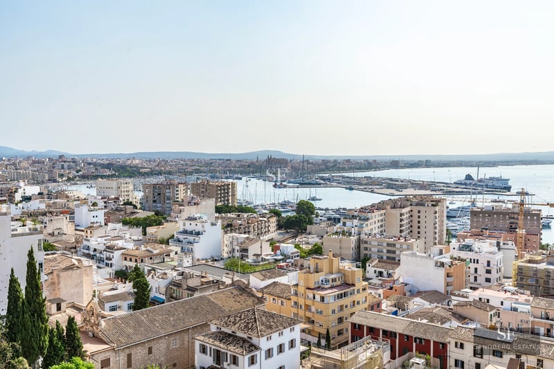 Exterior view of a modern villa with a pool, spacious terraces, and lush vegetation. Contemporary architecture, elegant design.